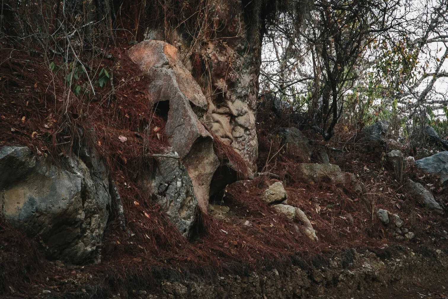 Cofradía de Volcanes