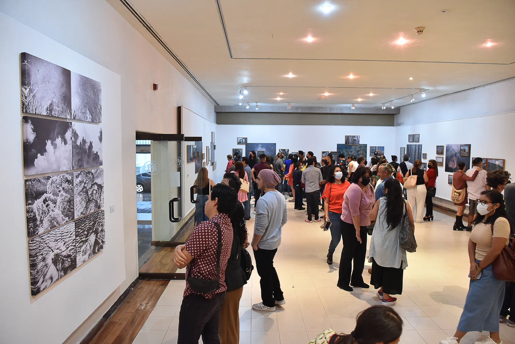 Cofradía de Volcanes en Pinacoteca Universitaria, Colima