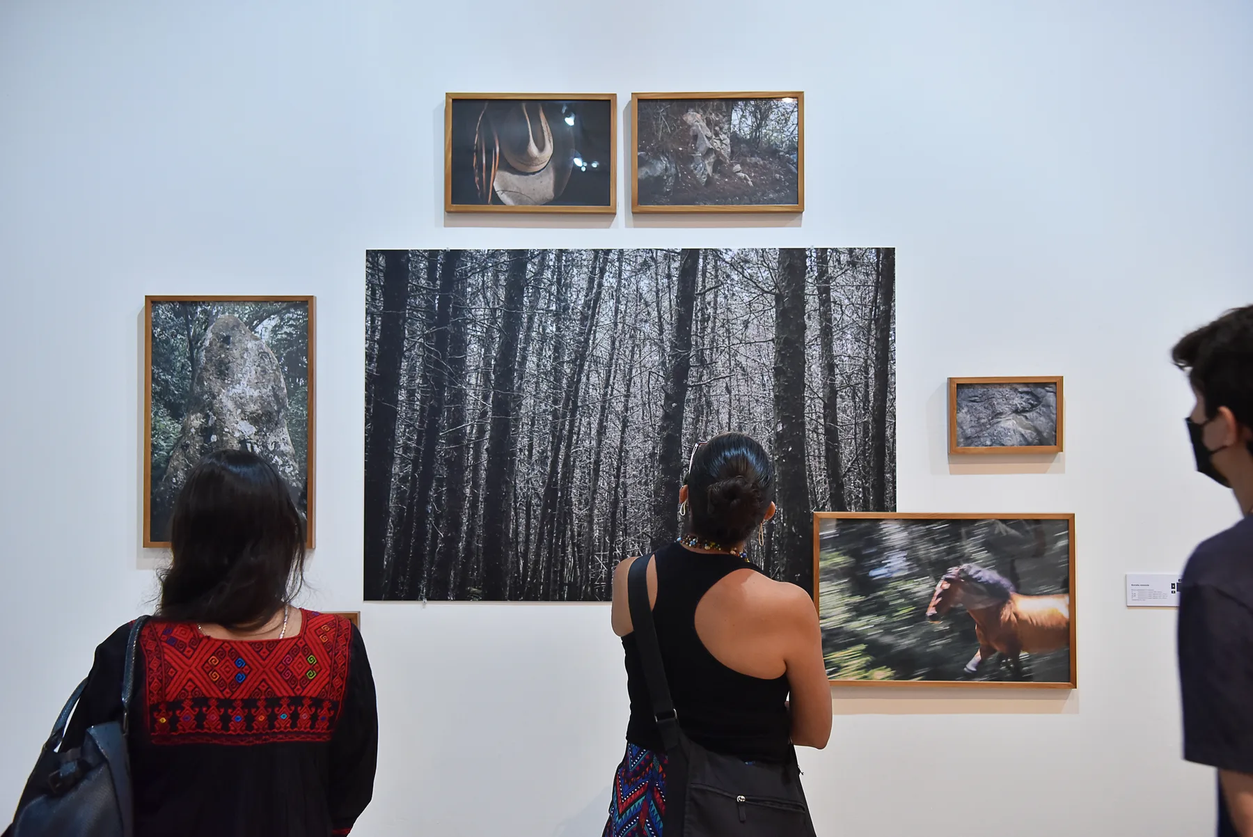Cofradía de Volcanes en Pinacoteca Universitaria, Colima