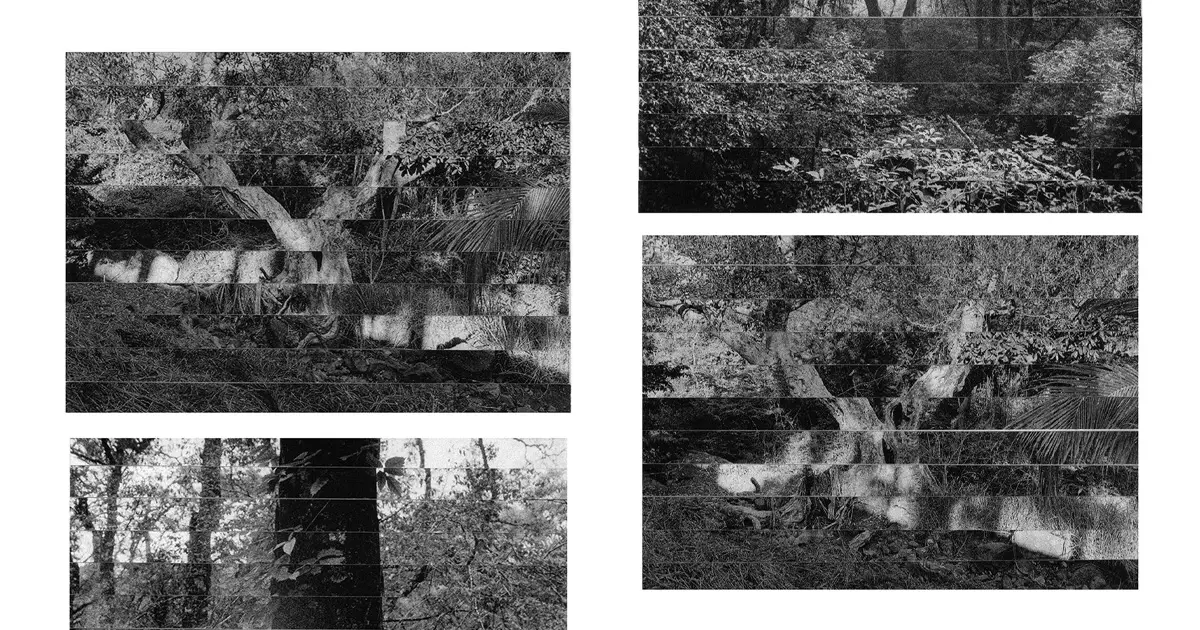 Deconstructed Nature