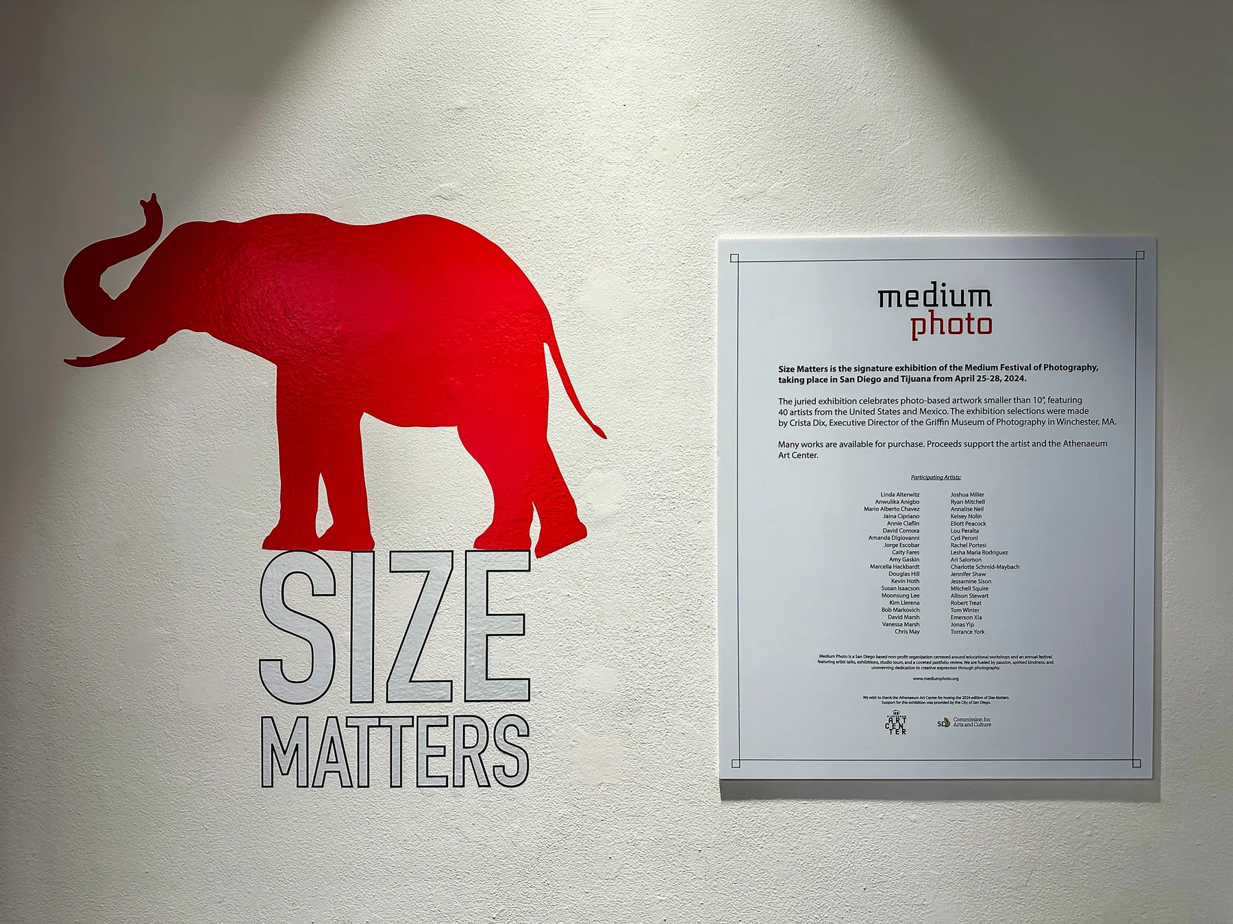 Deconstructed Nature — Size Matters exhibition, Athenaeum Art Center