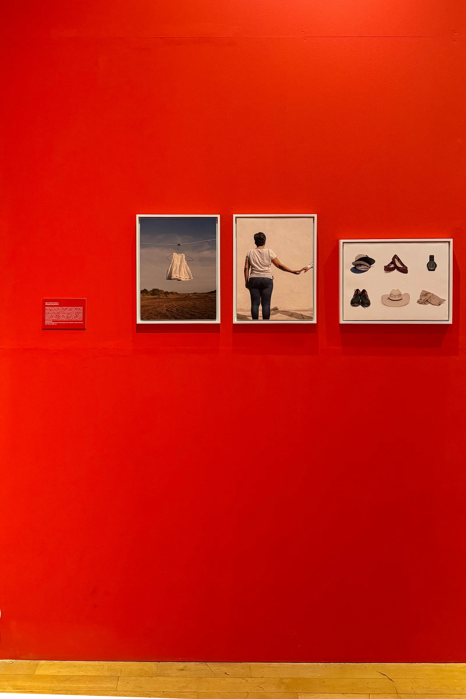 Disappearing Dreams at 3er Concurso Nacional de Fotografía Javier Ramírez Limón