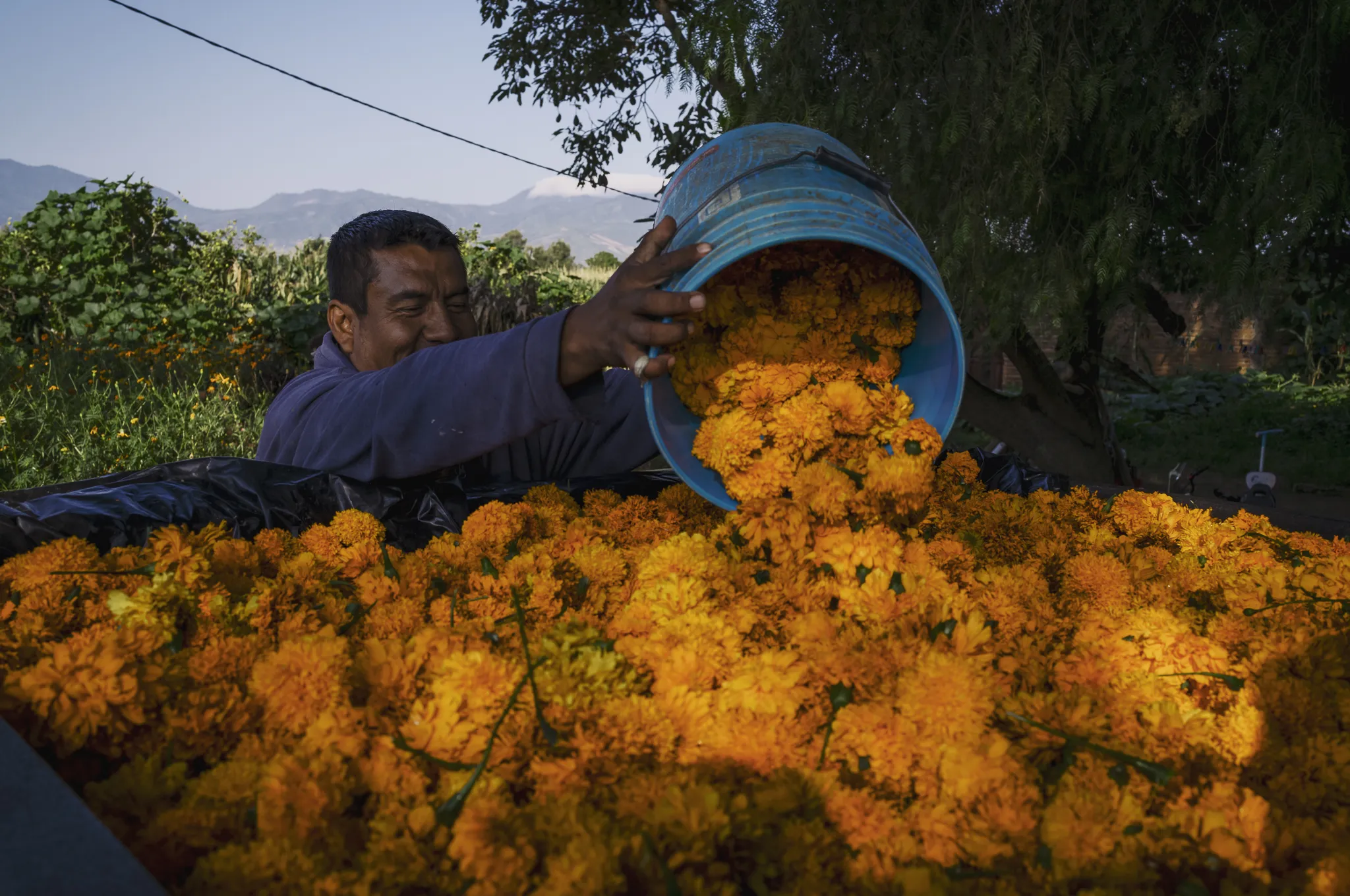 Enroso a San José de Zapotlán el Grande