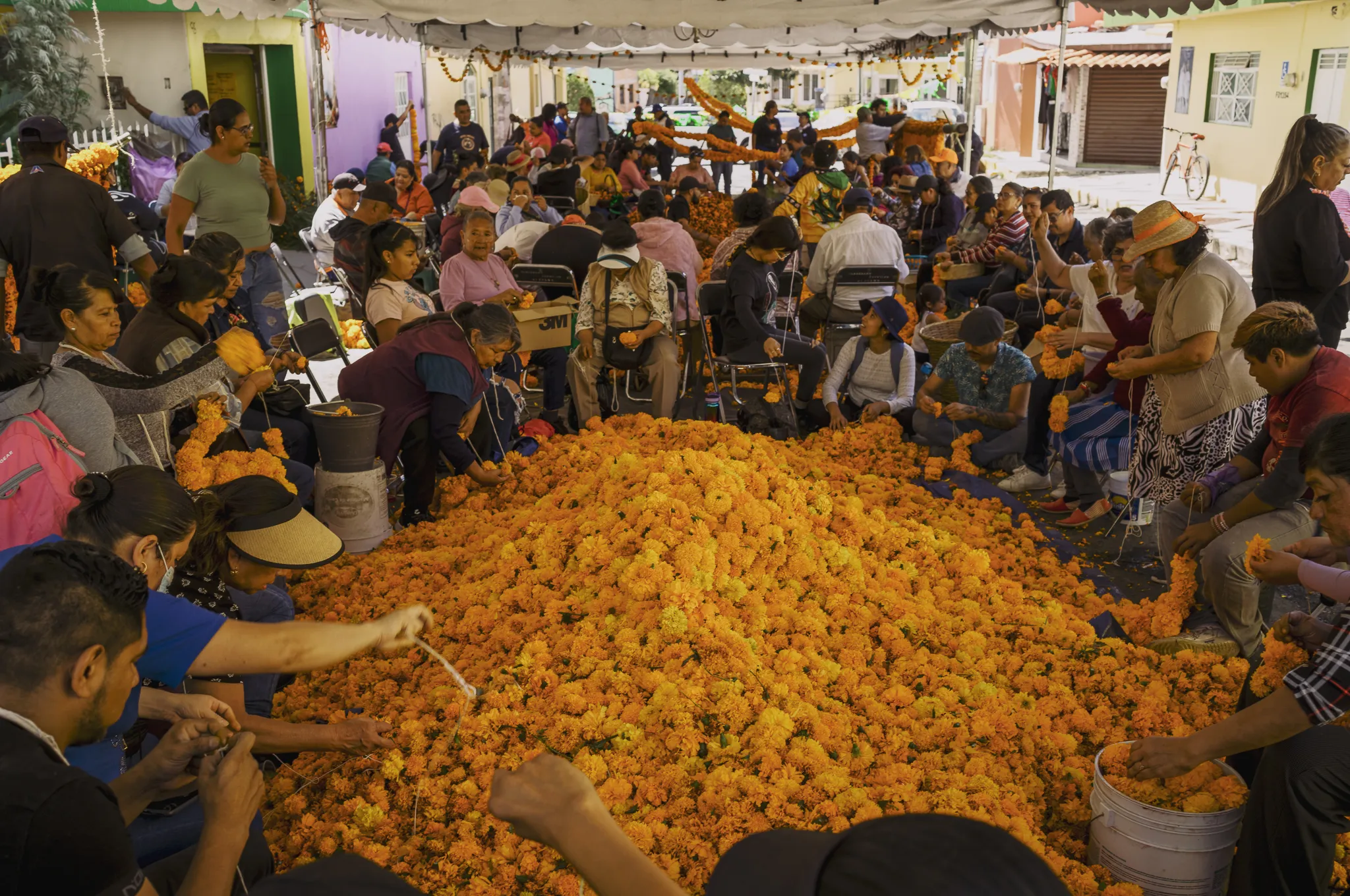 Enroso a San José de Zapotlán el Grande