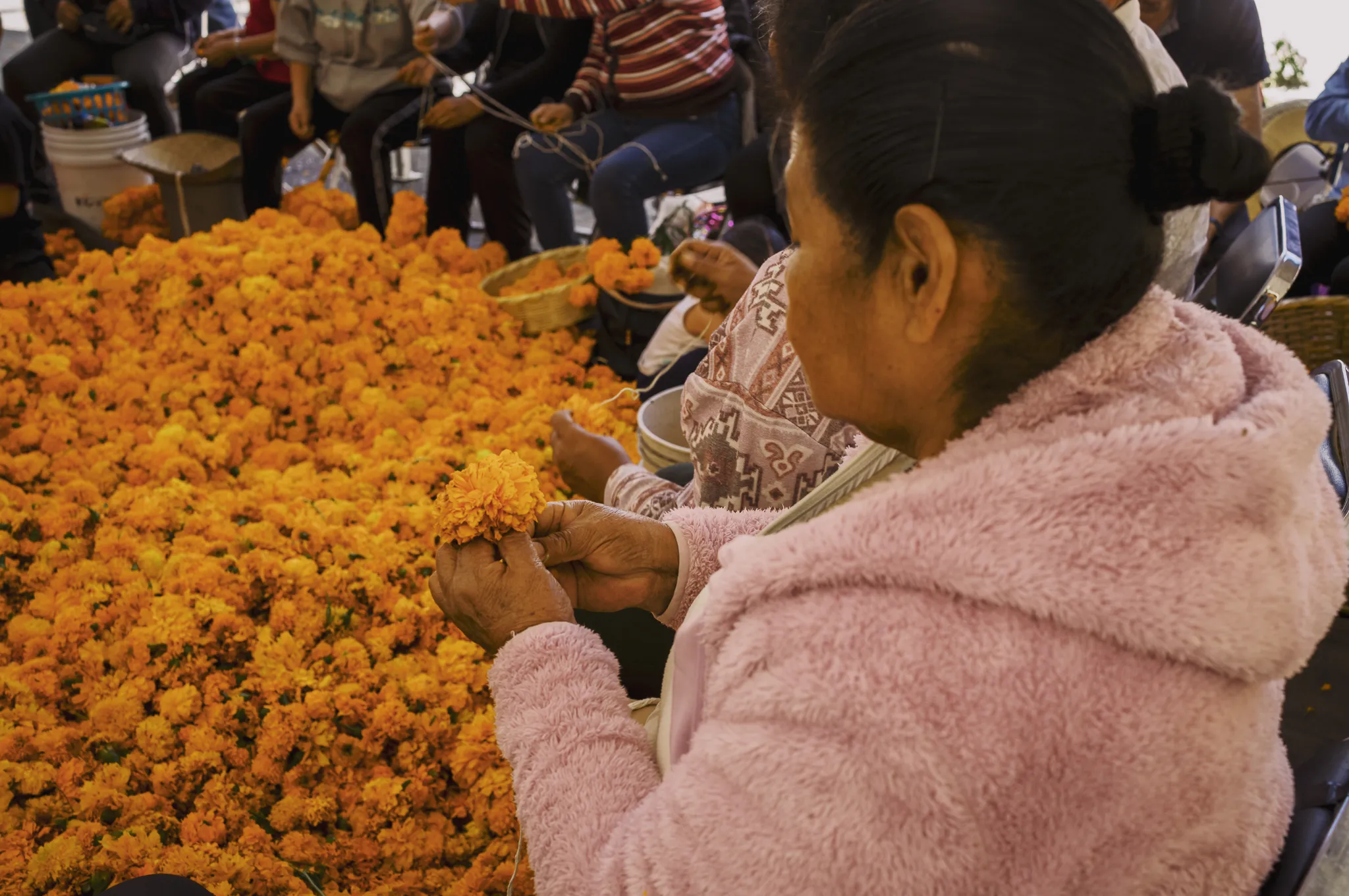 Enroso a San José de Zapotlán el Grande