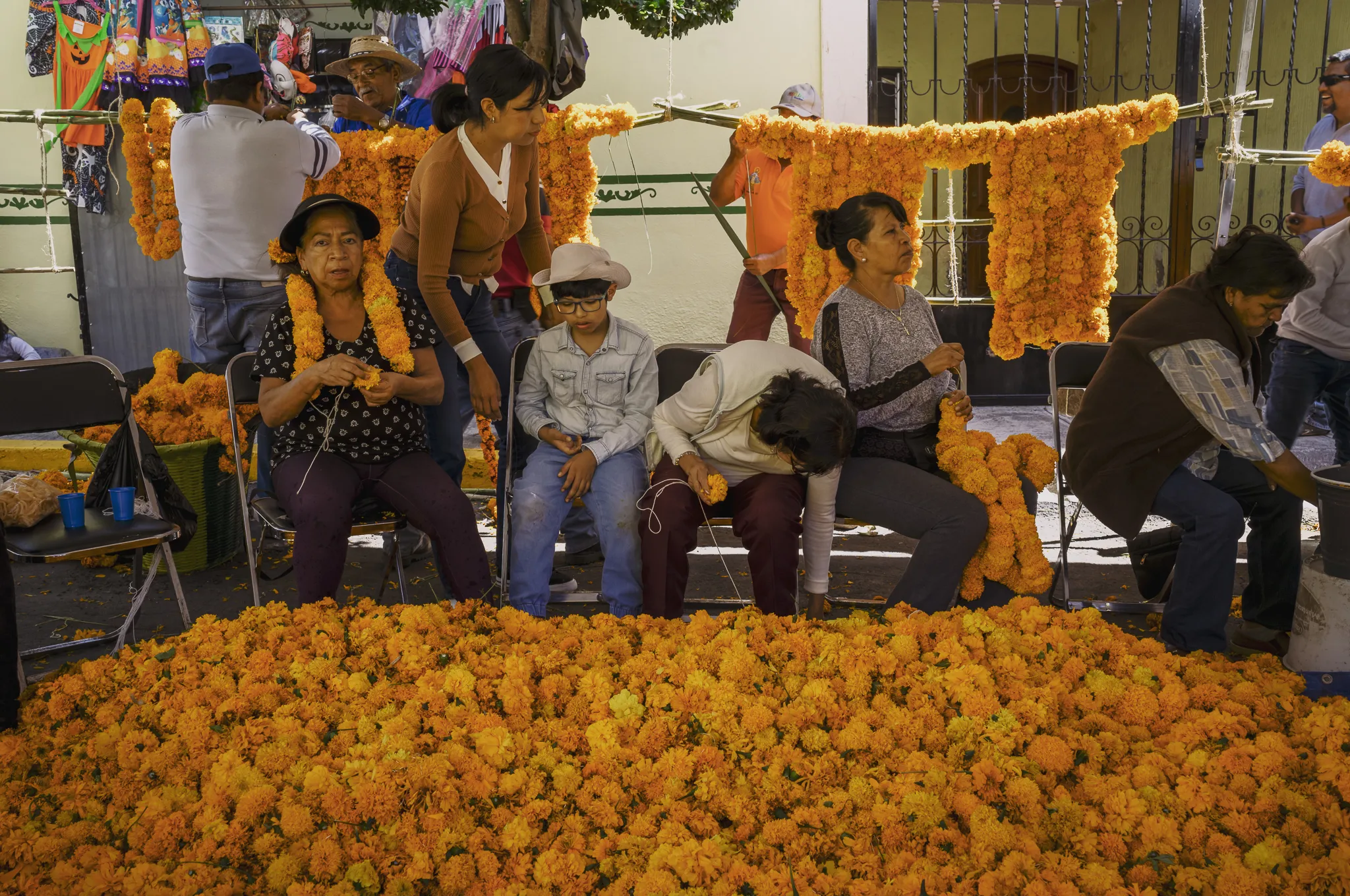 Enroso a San José de Zapotlán el Grande