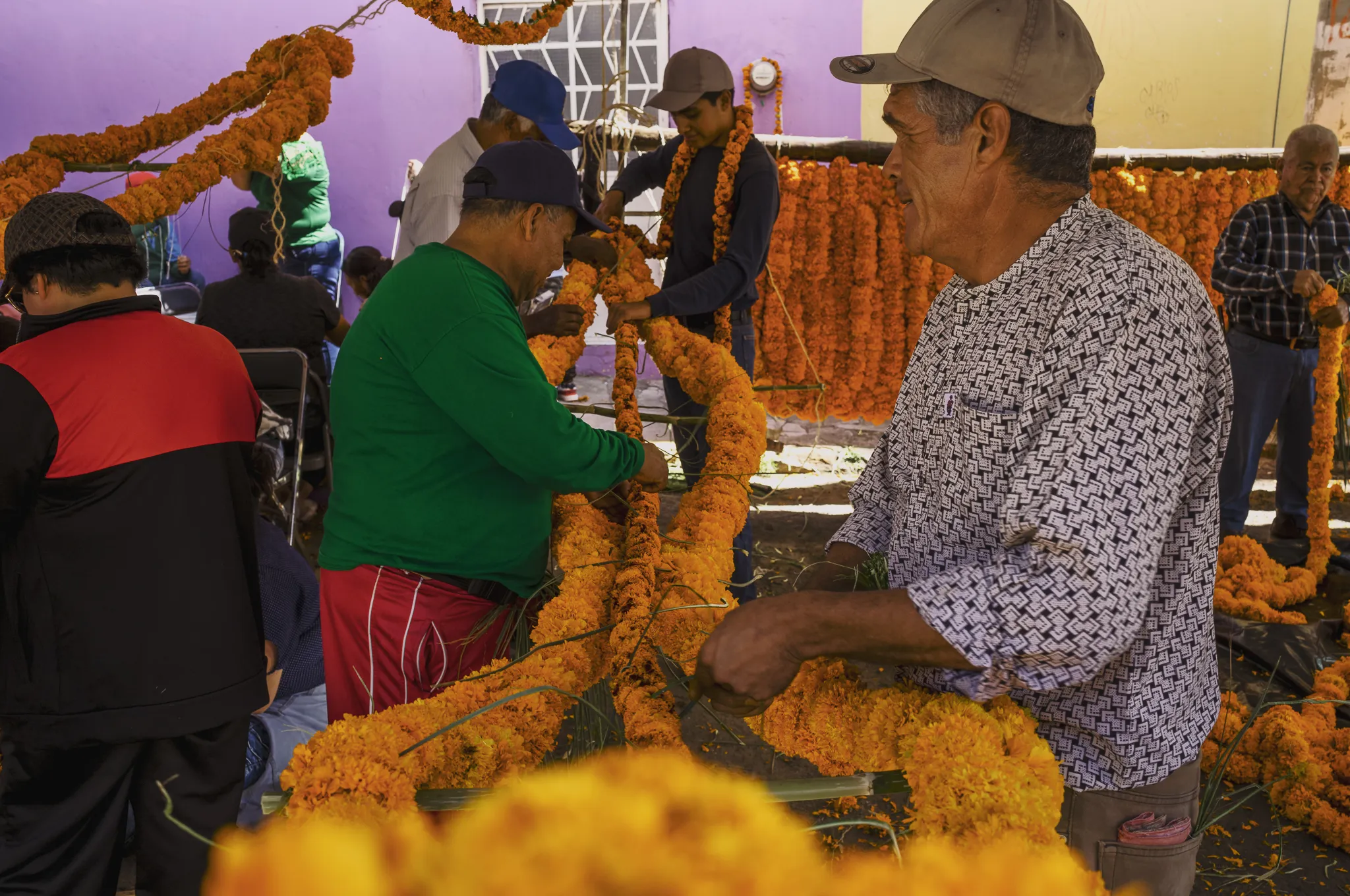 Enroso a San José de Zapotlán el Grande