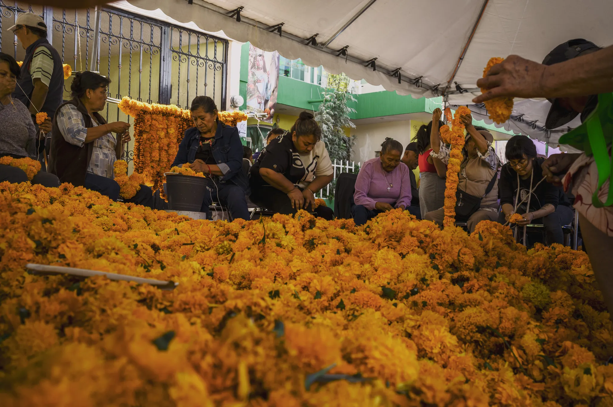 Enroso a San José de Zapotlán el Grande