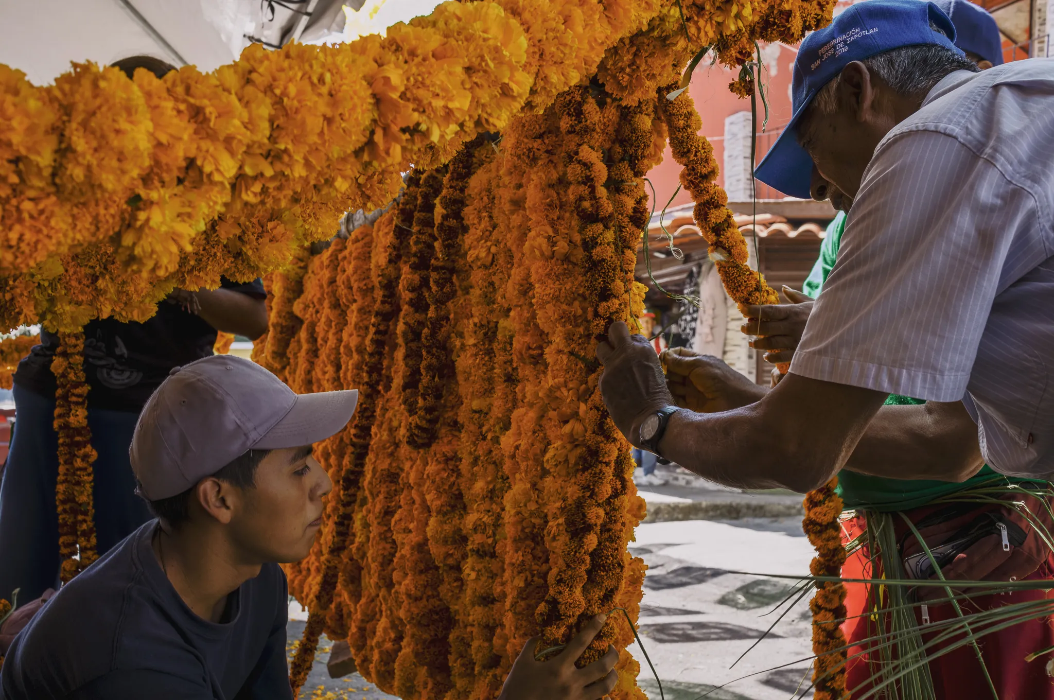 Enroso a San José de Zapotlán el Grande